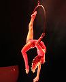 T-20161201-202950_IMG_0987-6 aaa